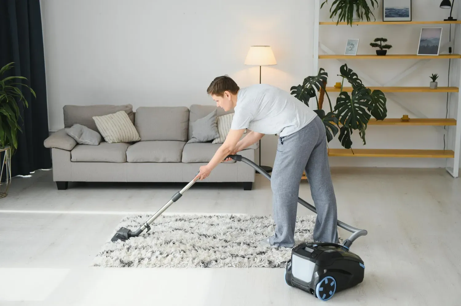 Area-Rug-cleaner