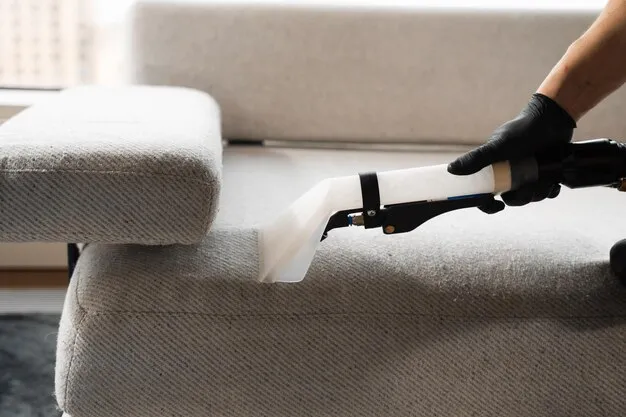 cleaning company maple ridge
